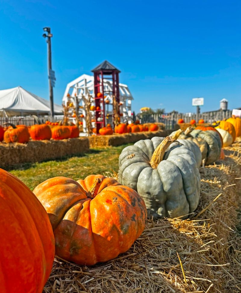 October Brings More Than Apple Picking