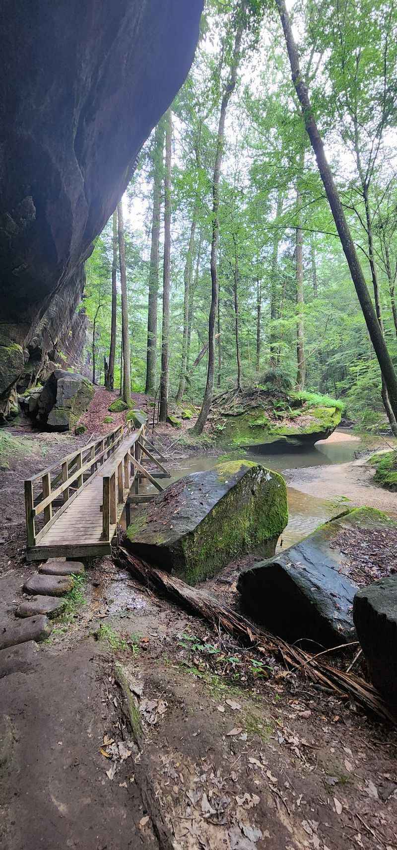 The Canyon-Floor Trail Runs About A Mile And A Half