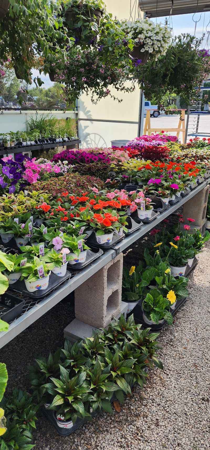 Fair Prices That Make Planting Feel Possible