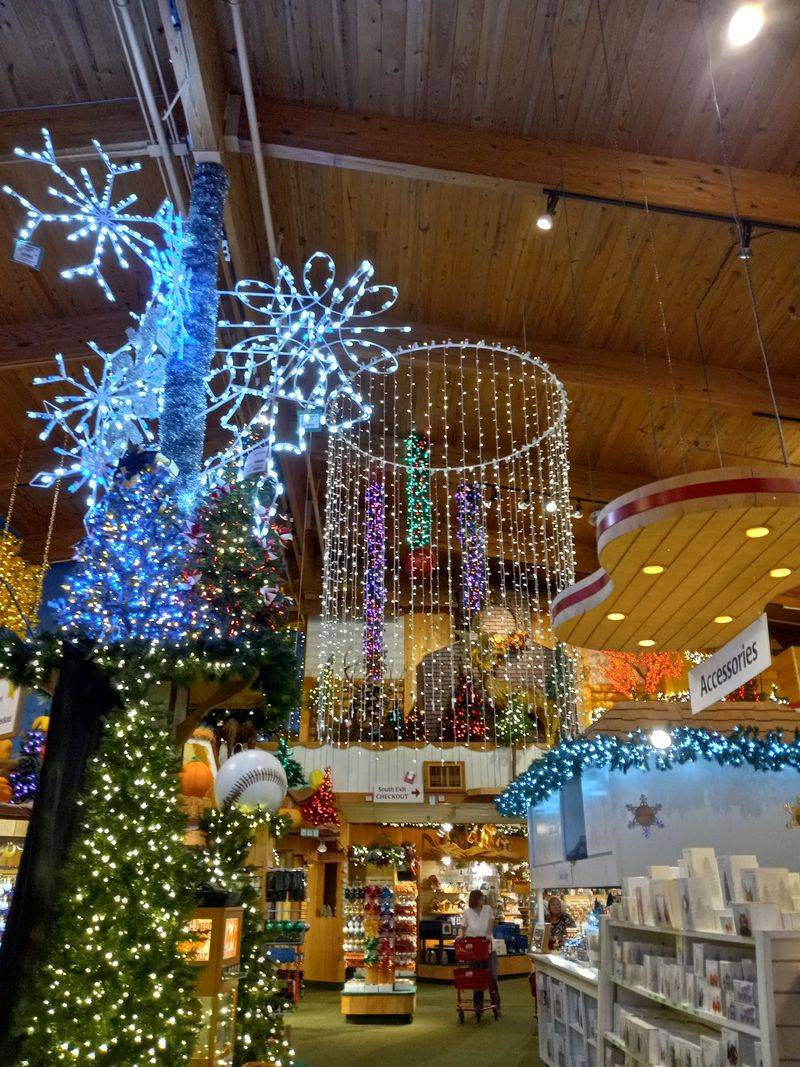 Good Luck Ignoring 100,000 Lights After Dark