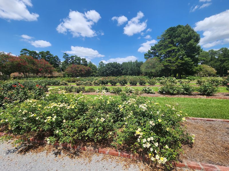 Over 450 Camellia Varieties Started As One Couple's Obsession