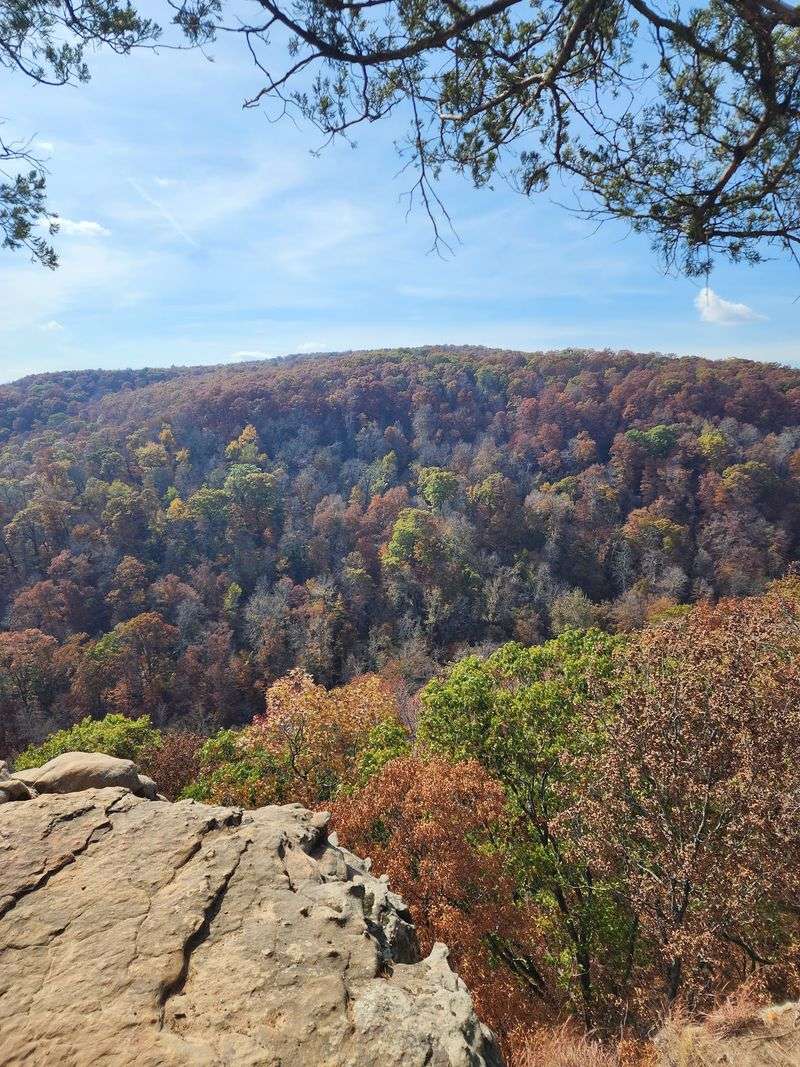 Fall Turns The Canyon Into A Color Explosion