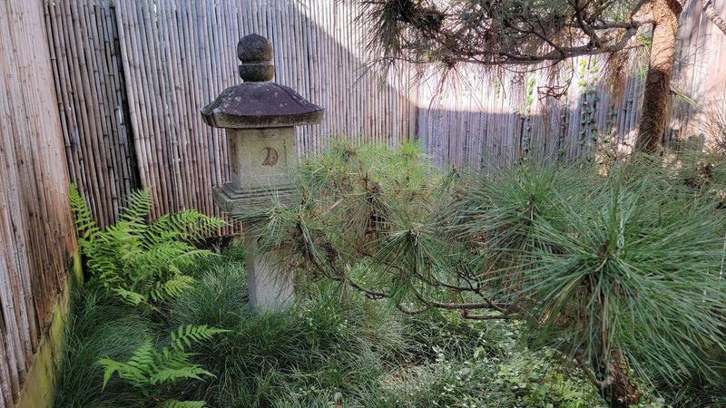 Lanterns Carry A Sister City Story