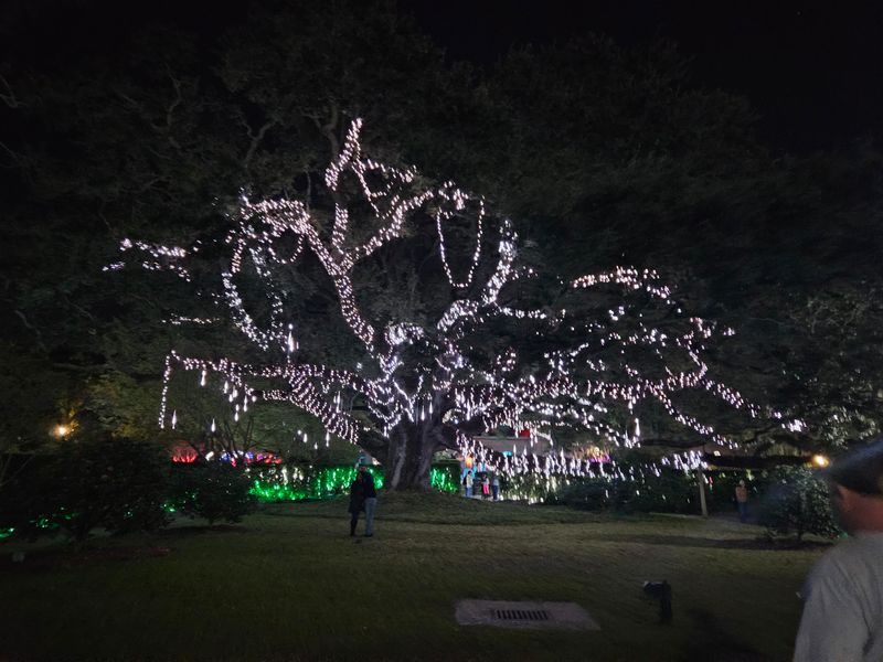 Wisner Boulevard Is Where The Lights Begin
