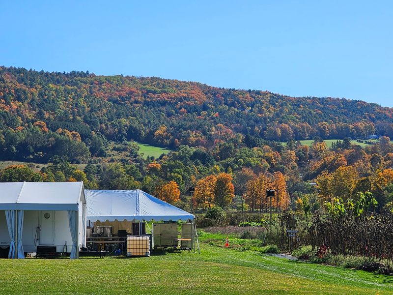 Why Autumn Turns This Farm Into A Postcard Scene