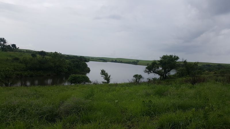 Getting There Along Highway 166