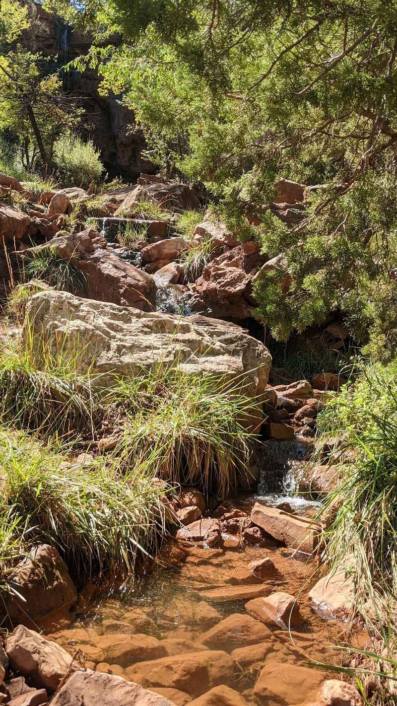A Creek That Brings The Canyon To Life