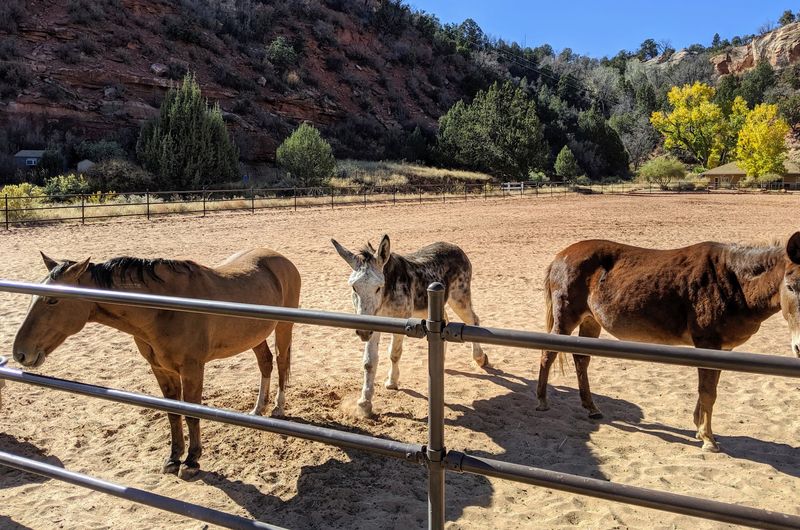 Book The Free Tour Before Your Road Trip Snacks Run Out