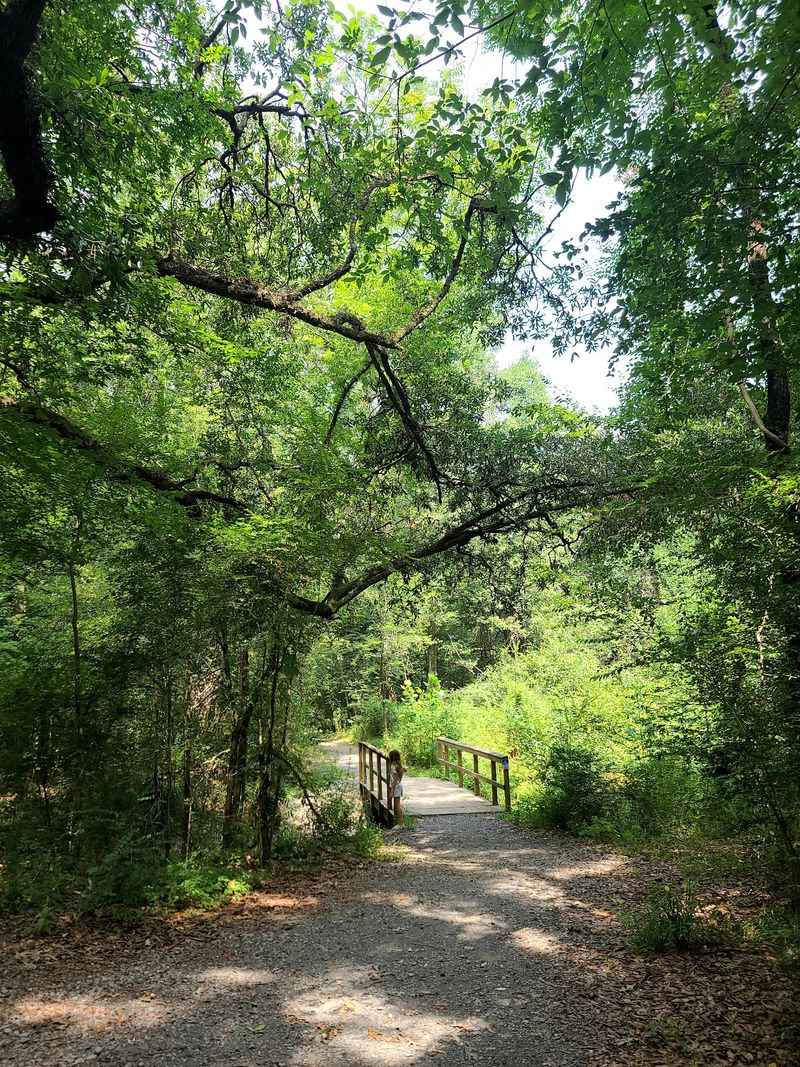 Bayou Manchac Hiking Trail
