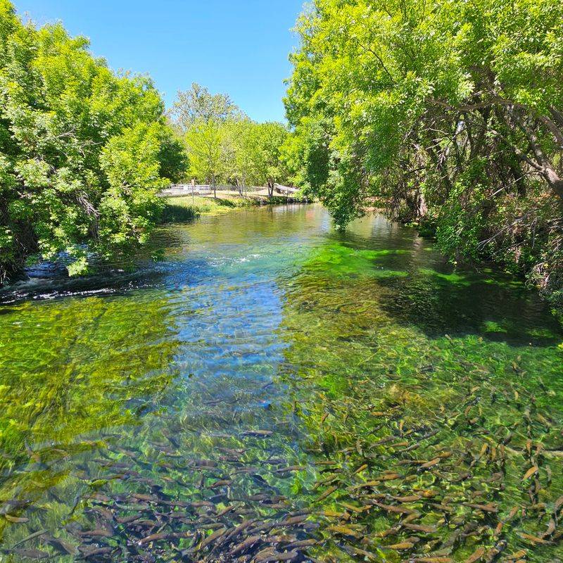 Page Springs Loop Drive