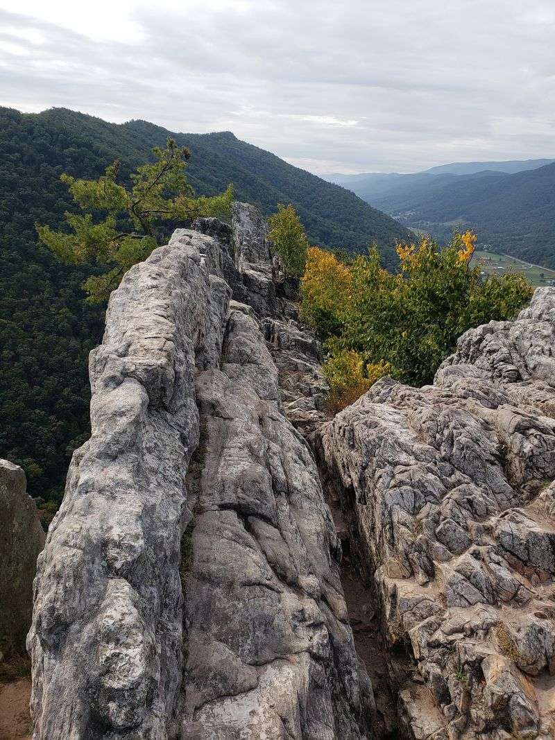 Rocks This Old Make Dinosaurs Look Like Newcomers