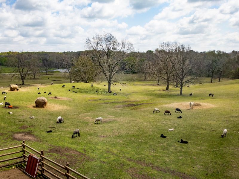 Fall Traditions Have Been Growing Here For Decades