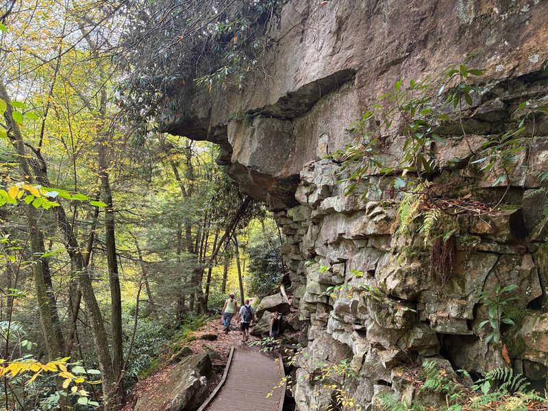 Following The Canyon Trail Through Swallow Falls State Park