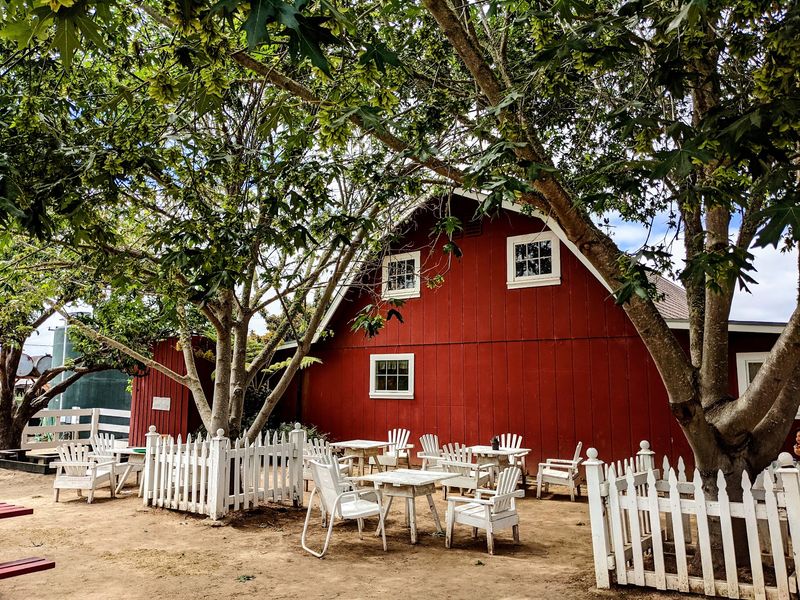 Shady Picnic Tables and an Easygoing Crowd