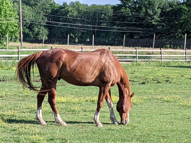 The Colgate Farm Gives You A Full Day To Work With