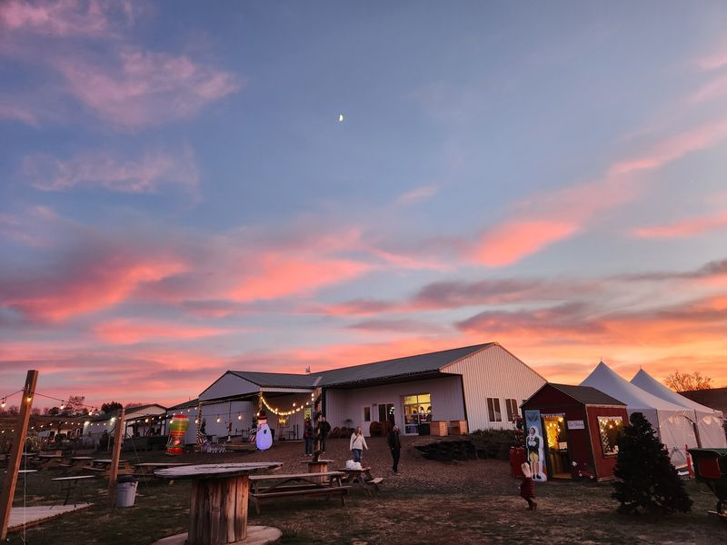 Ditmars Orchard & Vineyard, Council Bluffs