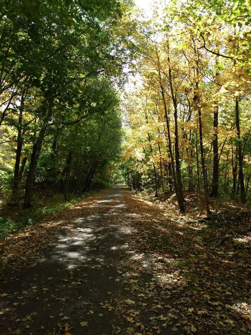 The Little Miami Scenic Trail Runs Right Through Town