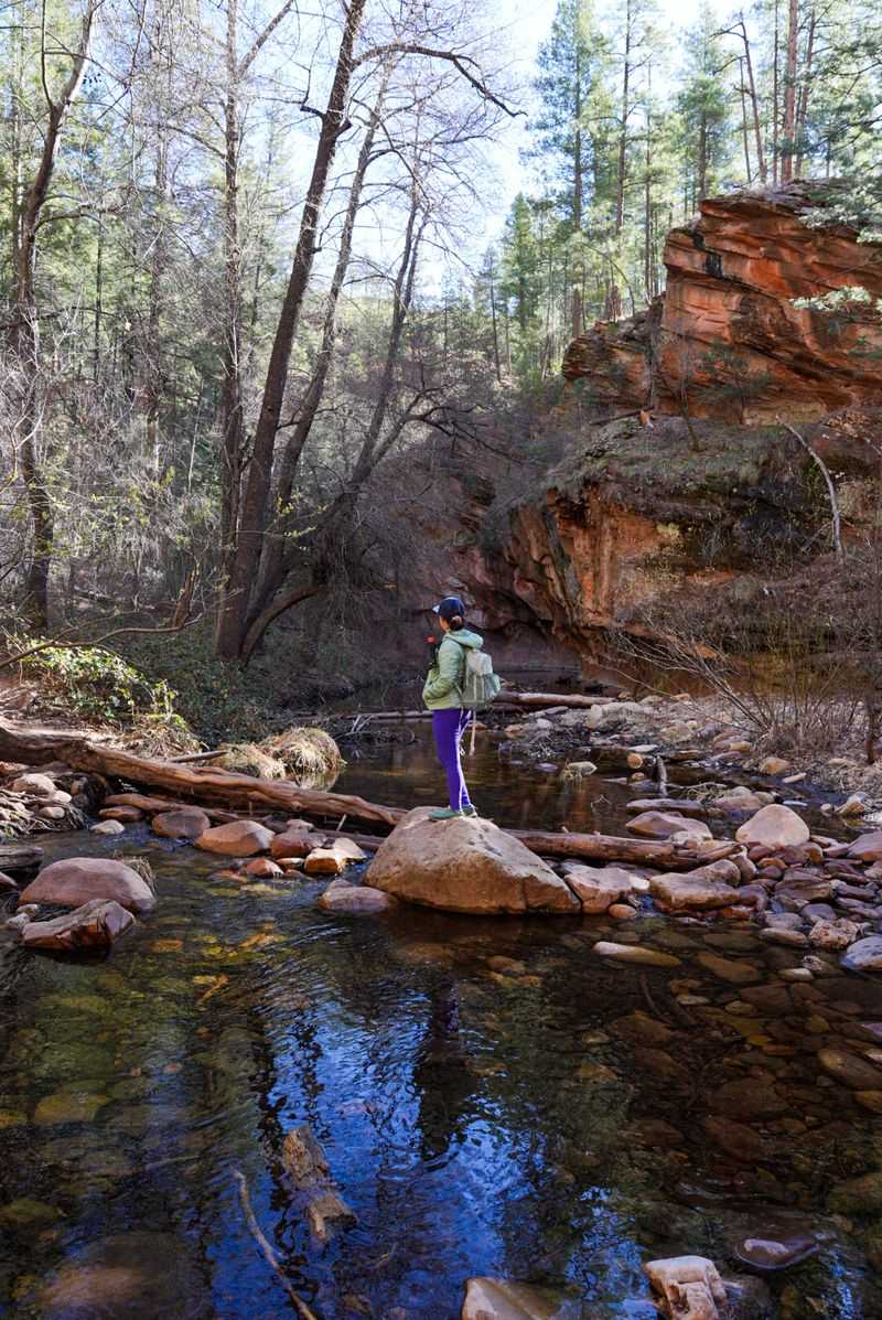 Get Ready To Hop The Creek Over And Over