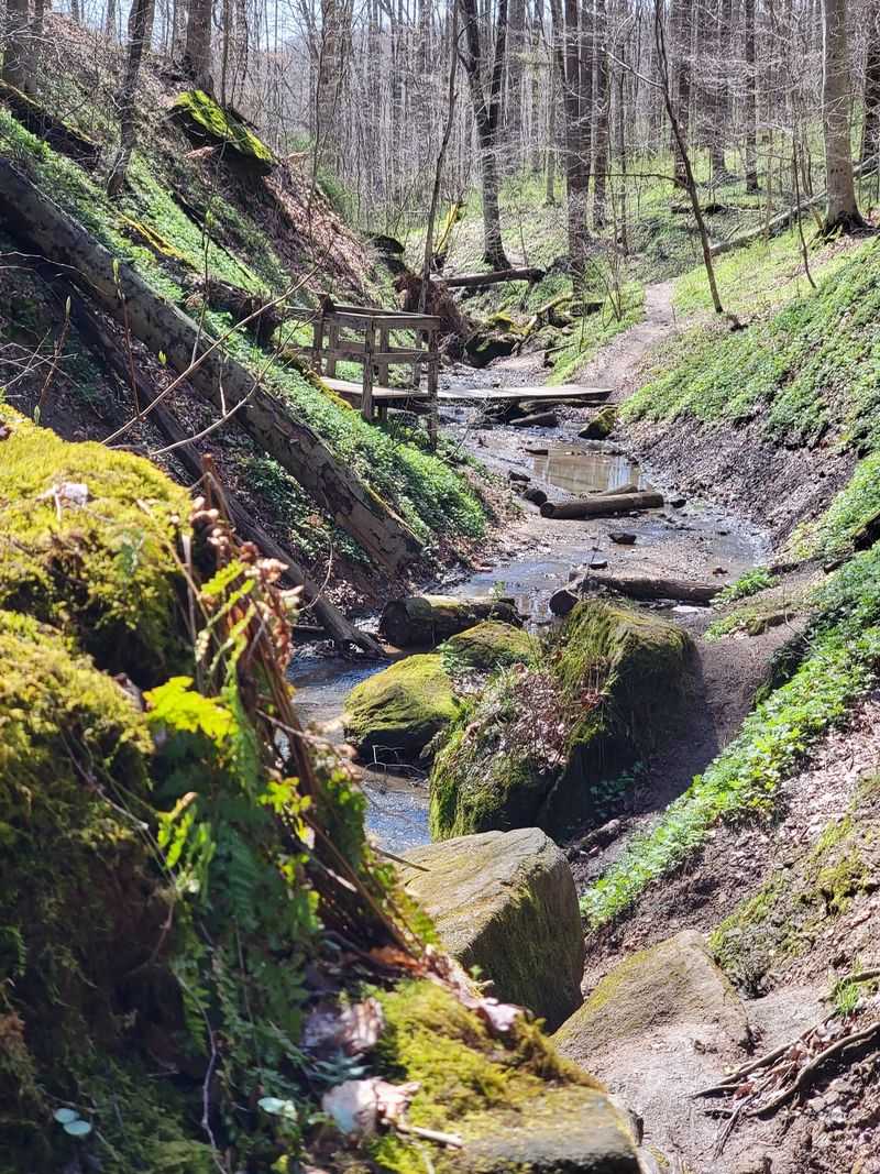 Trails That Run From Quick Strolls To 11-Mile Treks