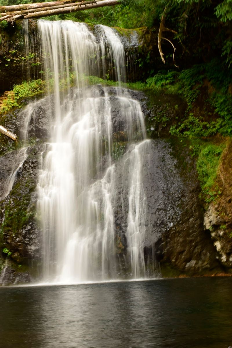 Towering Trees And Moss-Covered Cliffs Add To The Trail's Natural Beauty