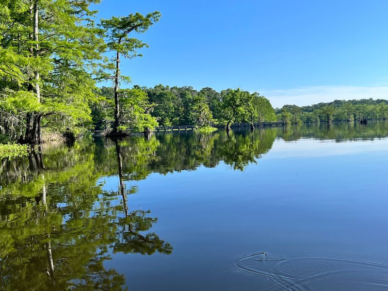 Chicot State Park