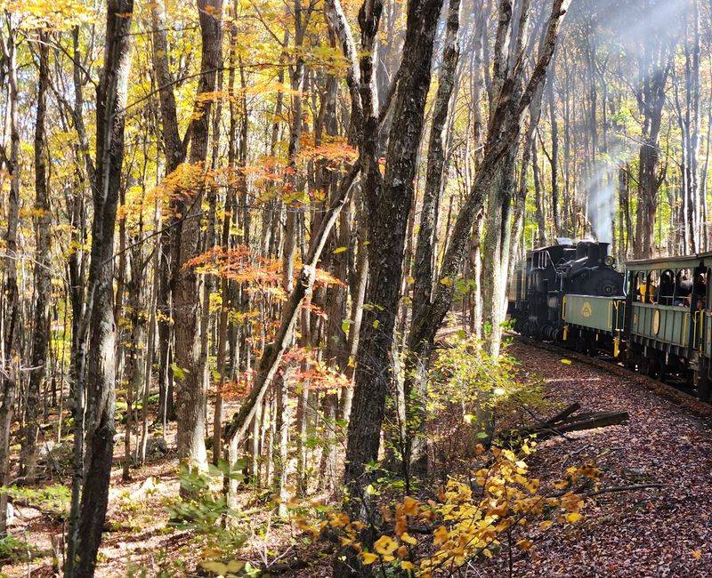 The Scenery Changes As The Train Climbs Higher