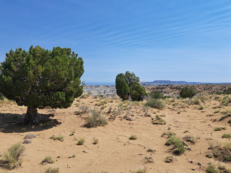 Desert Trails Feel Wilder Than They Look