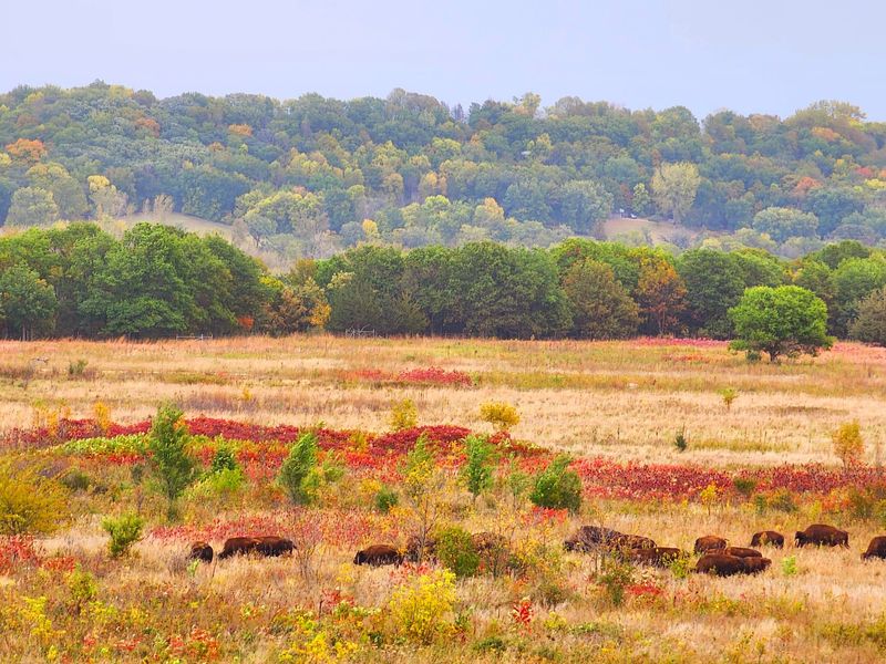 Minneopa State Park