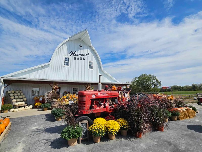 Harvest Barn Marketplace, Osceola