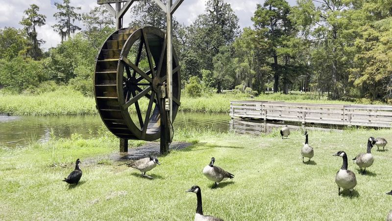 Bogalusa