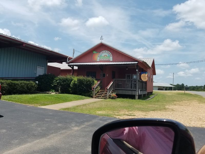 Woods Road Rewards A Planned Arrival