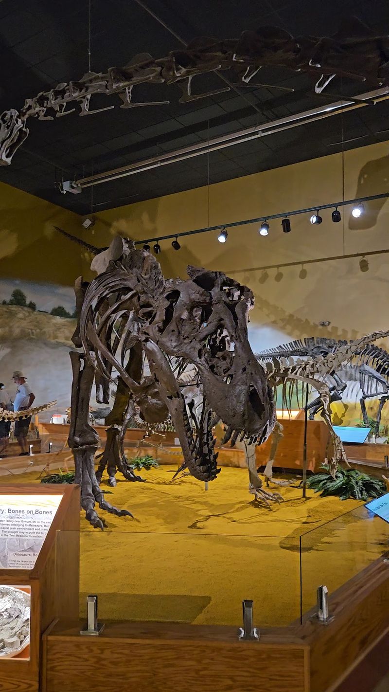 Real Dinosaur Bones Are Just Down The Road