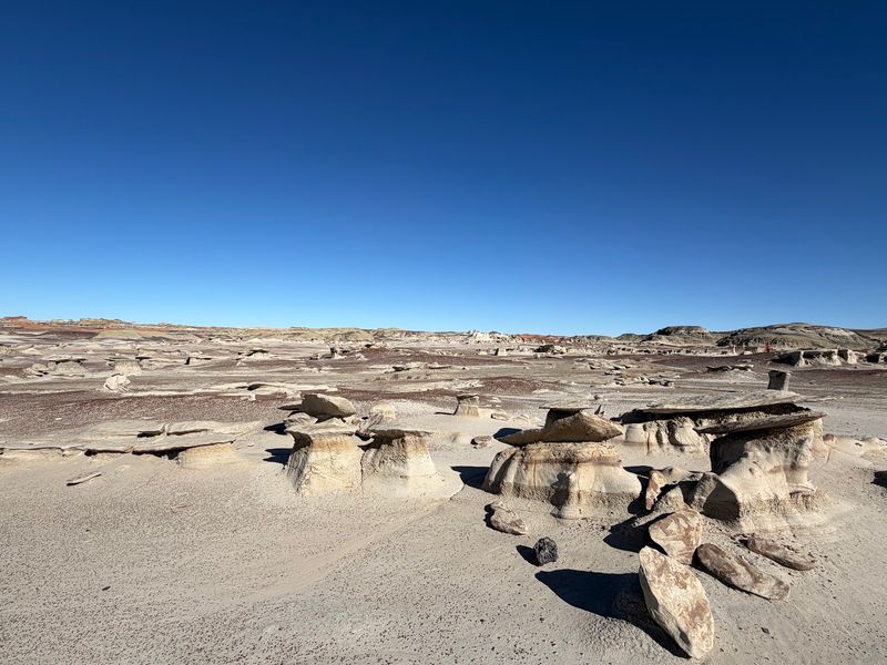 Bisti/De-Na-Zin Wilderness, Farmington