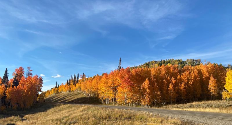 Manti-La Sal National Forest's Manti Mountains, Central Utah