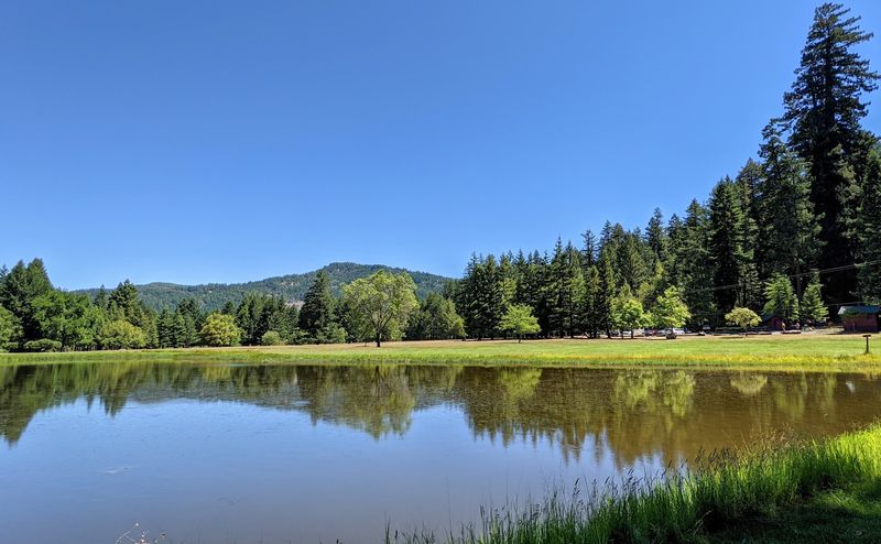 Trails, Picnics, And A Peaceful Pond