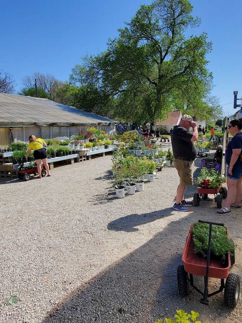 Your Vegetable Garden Could Get A Serious Upgrade Here