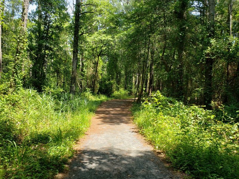 Pedal The Wildlife Loop And Let The Marsh Come To You