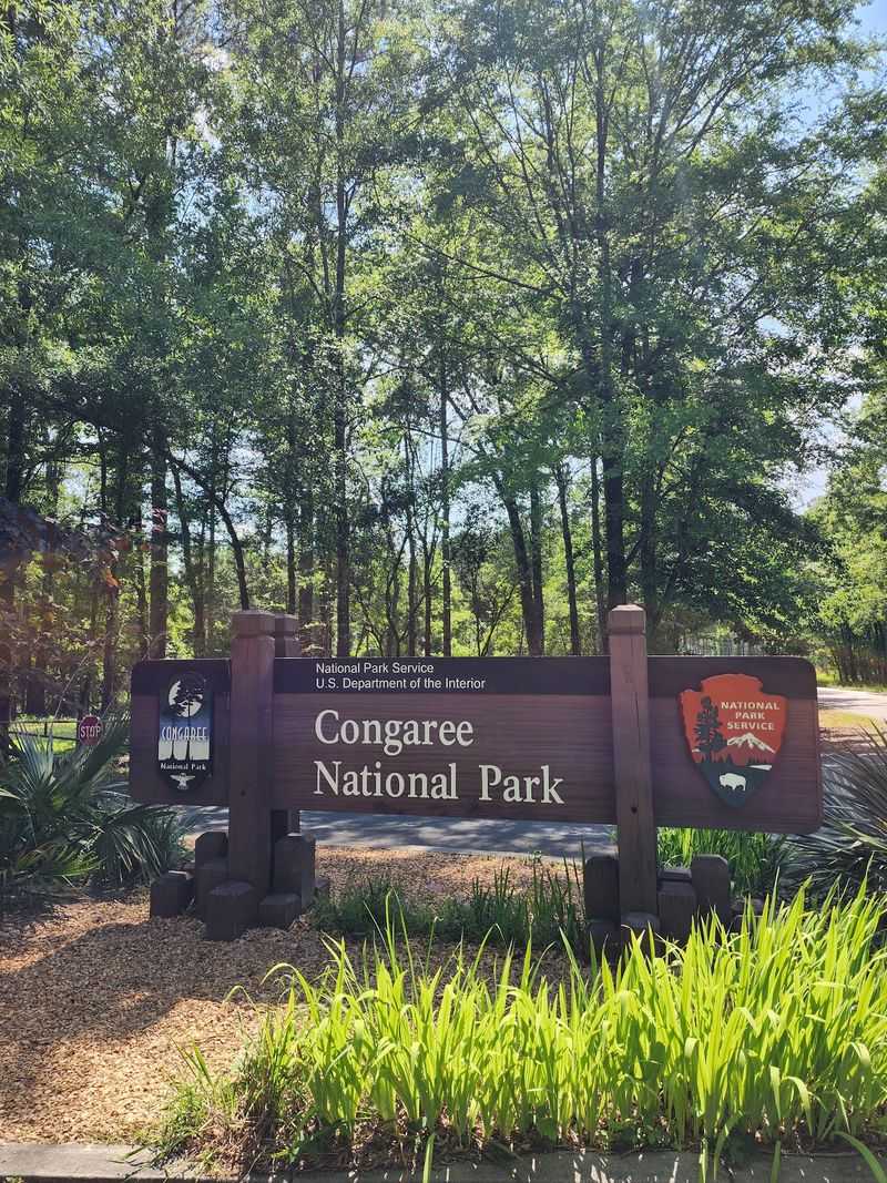 Time Your Visit Right And The Mosquitoes Will Have Less To Say