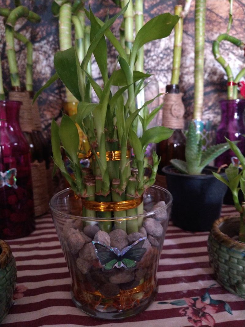 Fresh Flowers And Produce Make This More Than A Junk Hunt