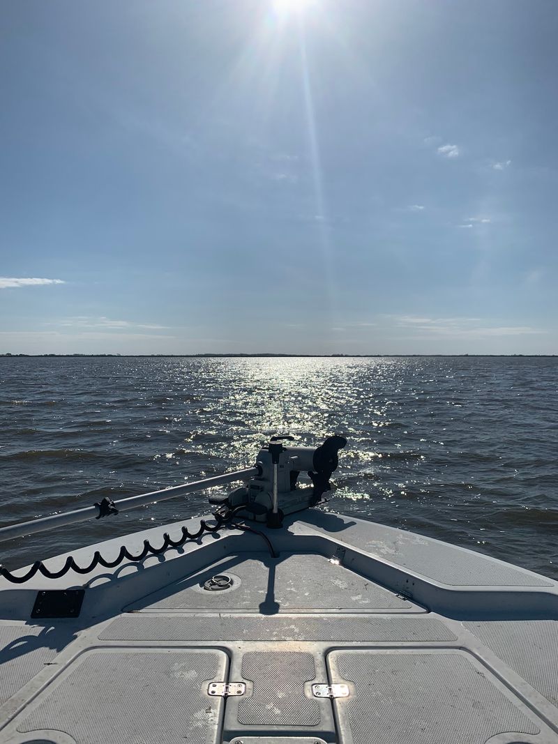 Charter Captains Know Where The Redfish Hide