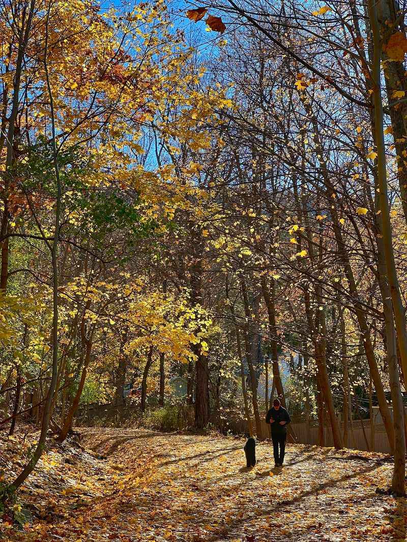 Mount Beacon