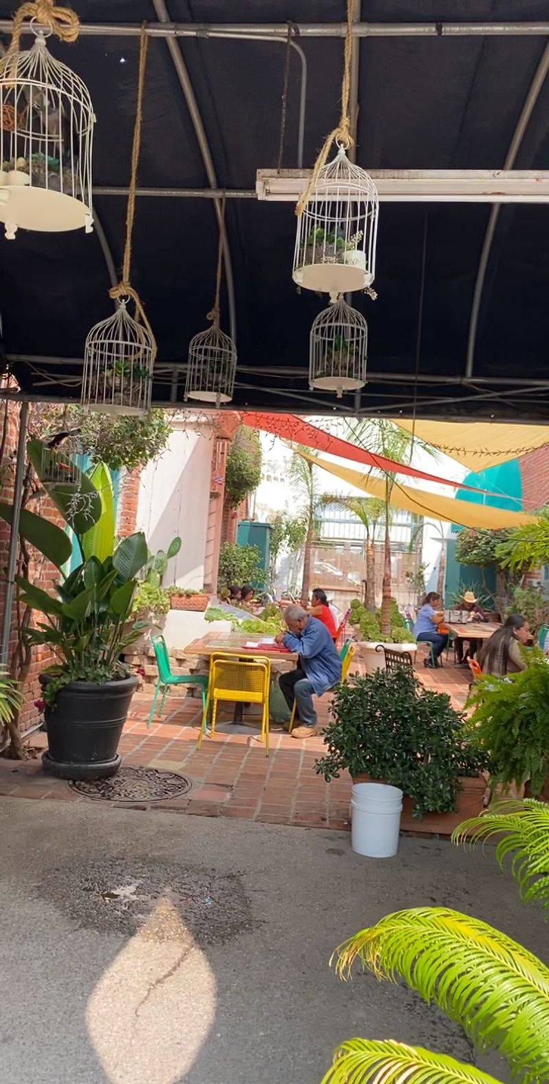 Courtyard Shade and a Lively Crowd