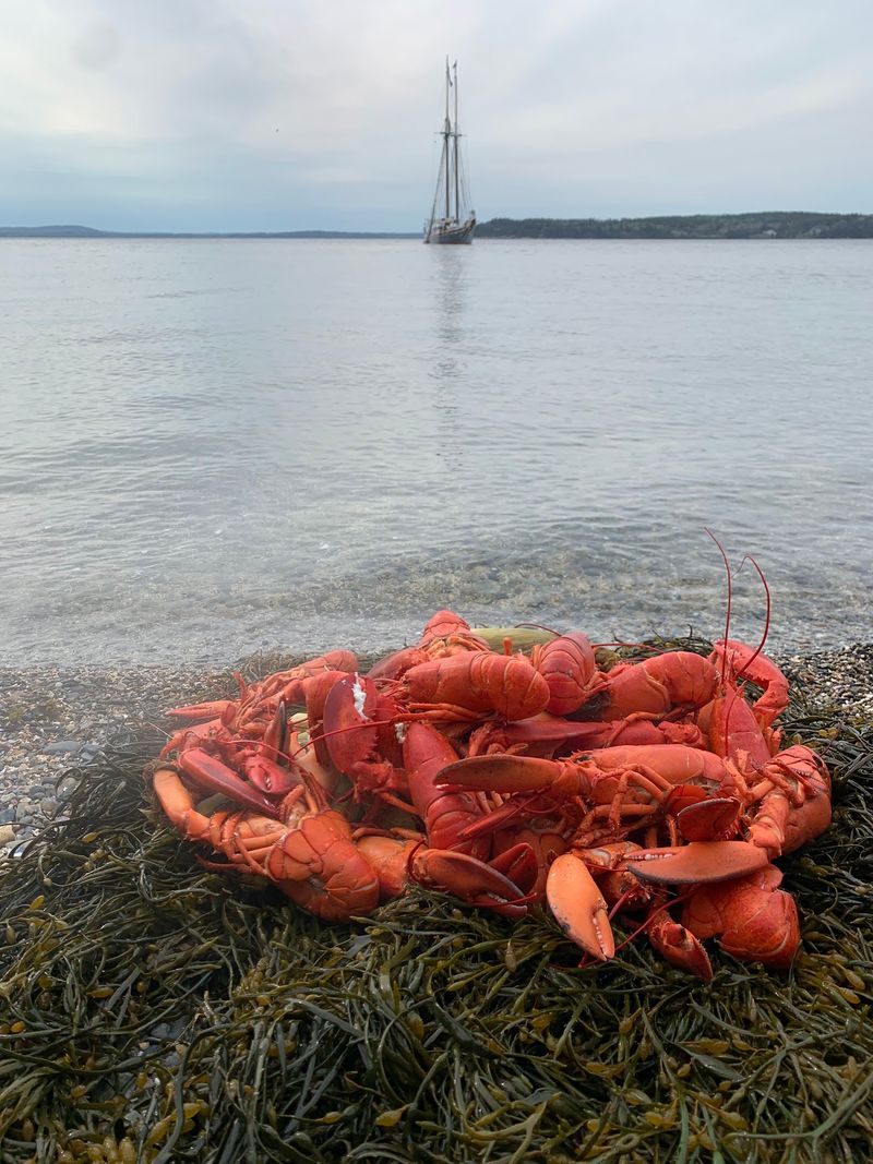 Every Cruise Includes An Island Lobster Bake