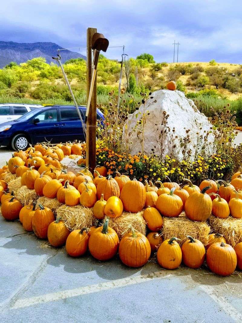 Pumpkin Piles Mean Fall Has Officially Arrived