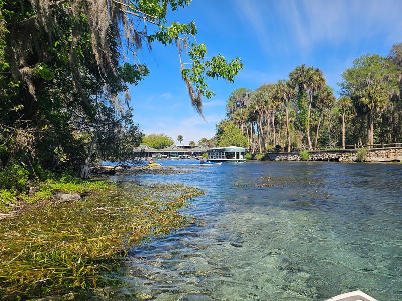 Silver Springs State Park