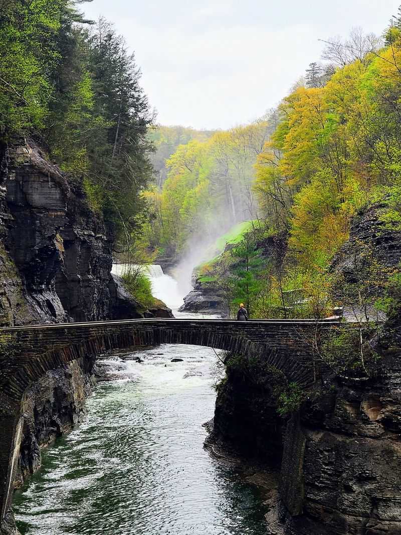 Before You Explore: Parking, Trails, And Park Access