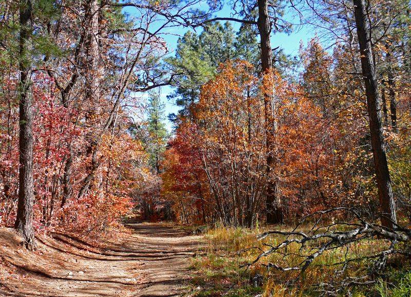 Fourth of July Trailhead