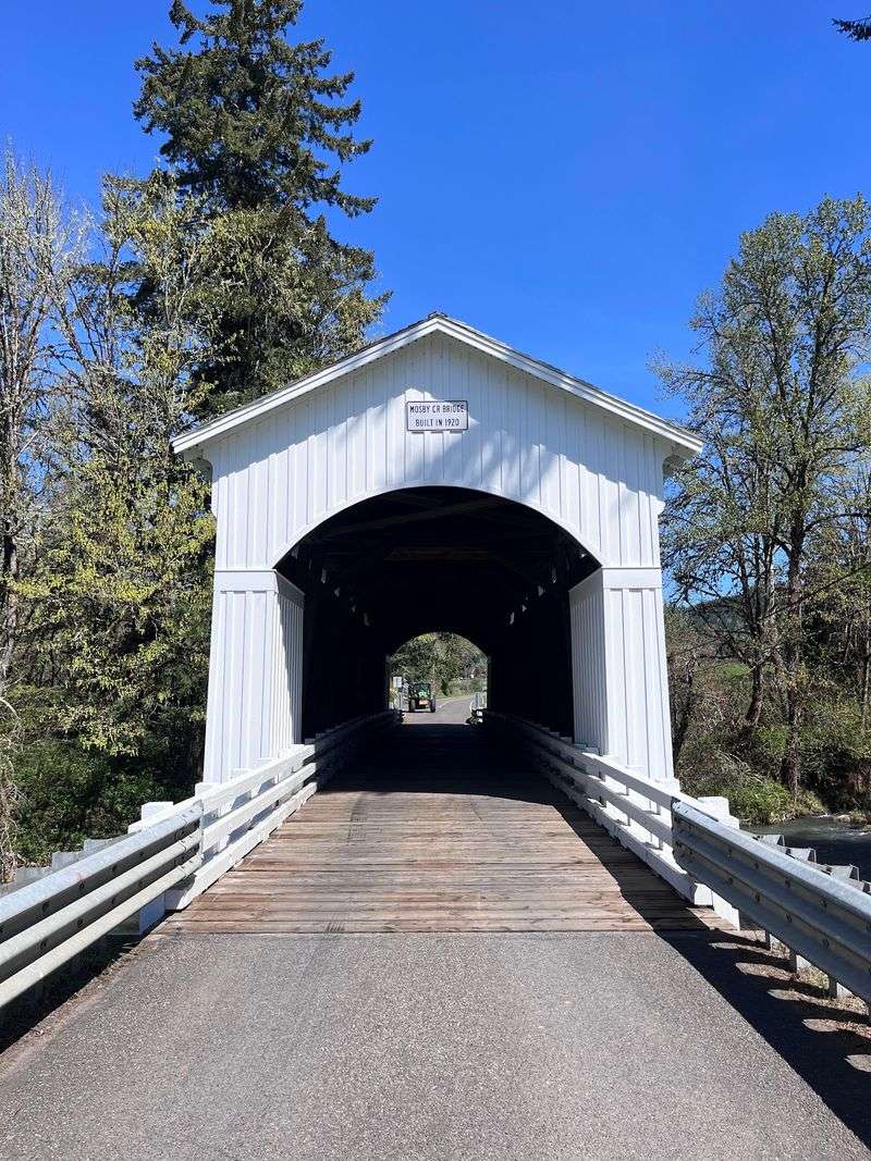 Historic Mosby Creek Covered Bridge