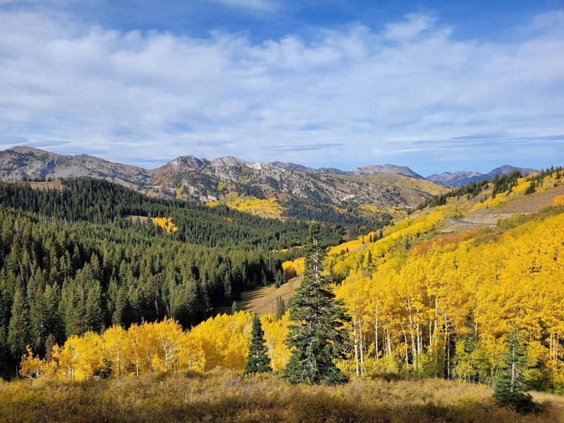 Guardsmans Pass Overlook