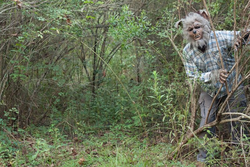 Park By The Civic Center, Then Follow The Monsters